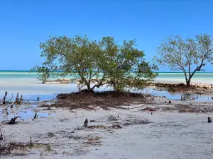 Punta Mosquito