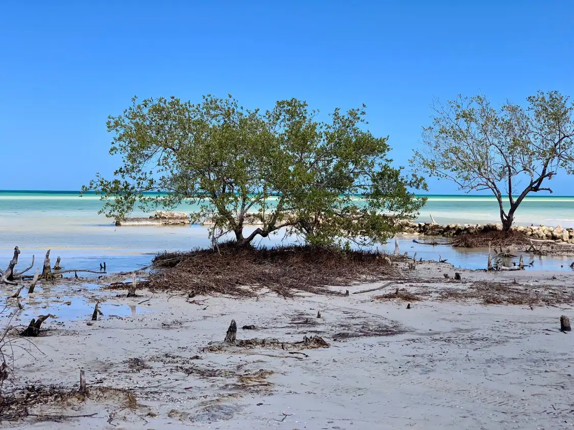 Hotels near Punta Mosquito
