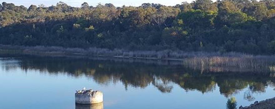 Frankston Nature Conservation Reserve