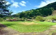 Forest Adventure Asso