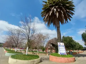 Plaza De Ninhue