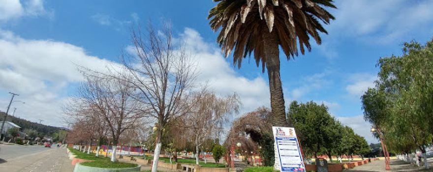 Plaza De Ninhue