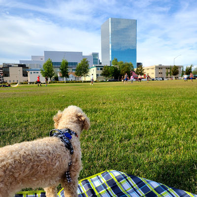 Delaney Park