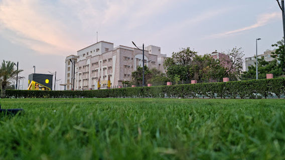 Dolphin park in Jeddah