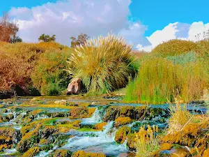 Las Cascadas Río Loa