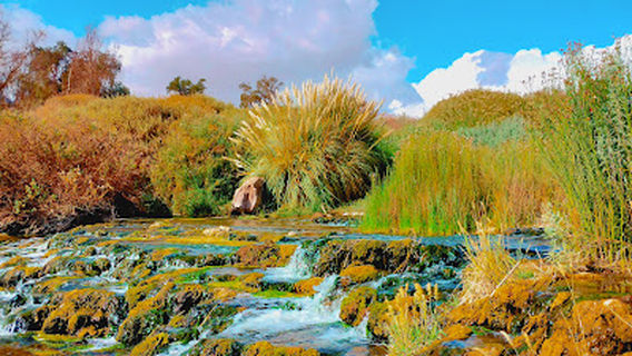 Las Cascadas Río Loa