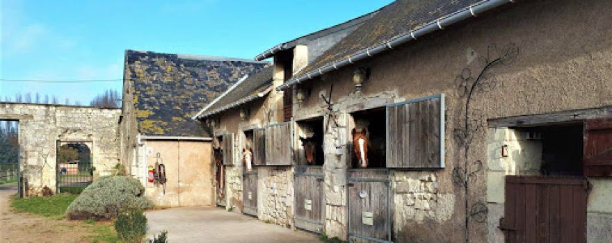 Les Ecuries De La Borde Pony Club - Pension Horses Owners Breeding Saumur