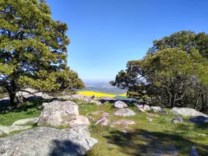 Mt Beckworth Summit