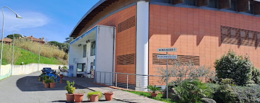 Palazzetto Dello Sport Di Grottaferrata Saverio Coscia