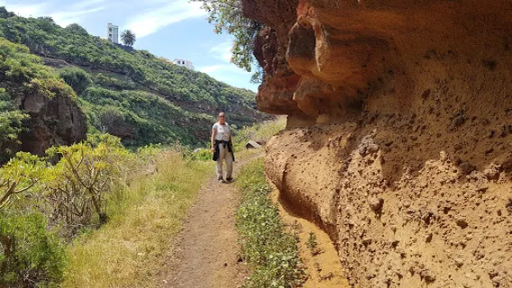 Bosque Dragos el Palmar