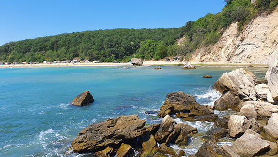 Byala