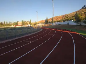 Campo Municipal de Fútbol