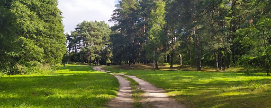 Stovyklavietė