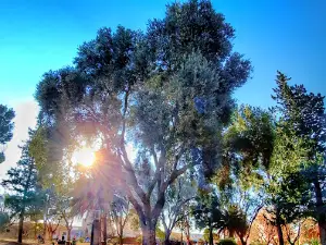 Plaza Bustamante