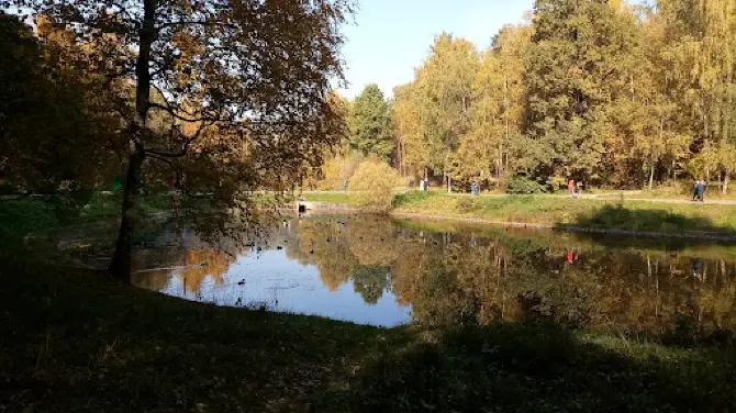 Собачья Площадка