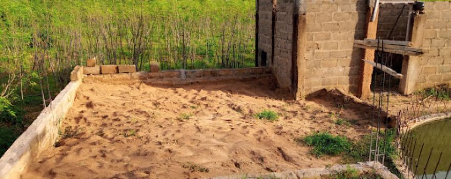 Moringa ferme NigeGloTec (Niger Globale Technologie)