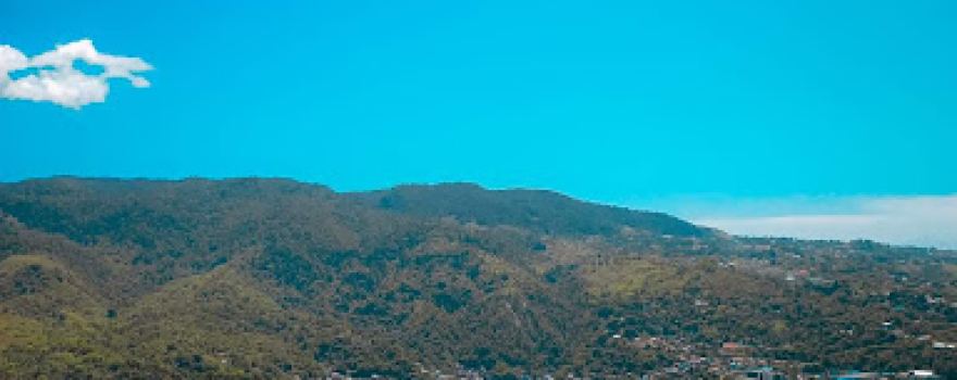JAYAPURA WALL