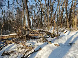Sunderbruch Park