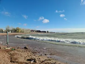 Dzhasa