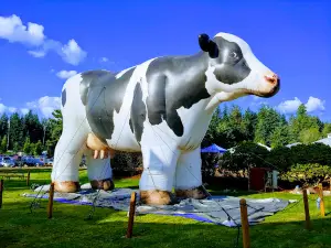 Enumclaw Expo Center