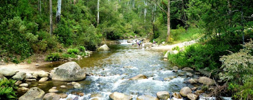Bogong Village Picnic Ground