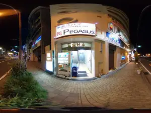 パブ スナック ペガサス