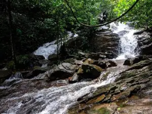 Kodachadri Gudde Viewpoint