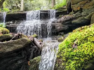 Piatt Park Gorge and Cave Area