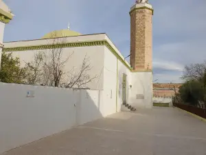 Mosque pledge of allegiance