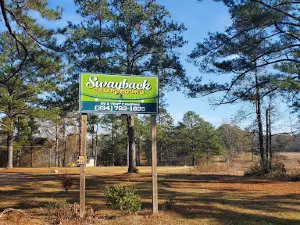 Swayback Bridge Trail