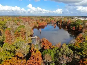 Boney Mill Pond Park