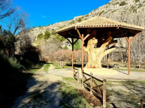 Plantón del Covacho