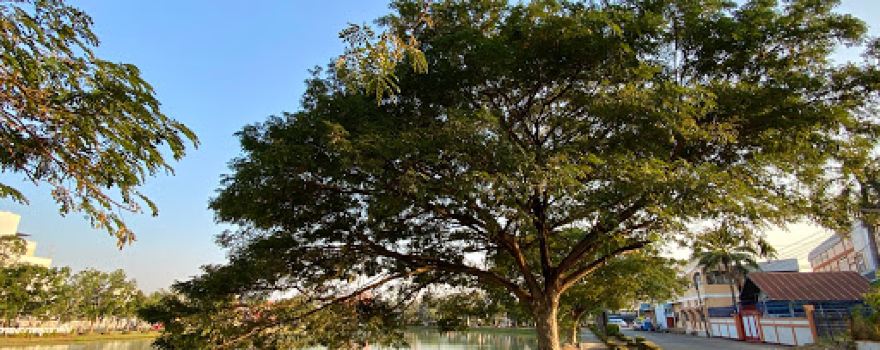 Sala Loi Public Park