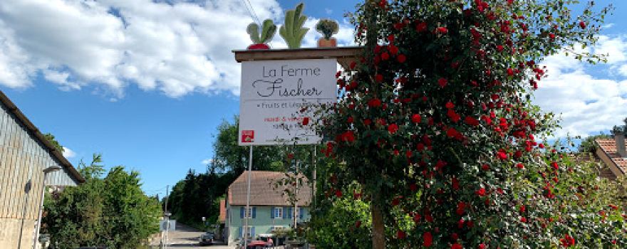 Ferme Fischer Zimmersheim