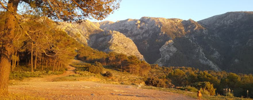 Mirador Pedro Aguilar