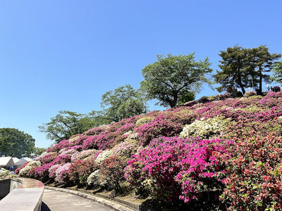 Sabae City Nishiyama Zoo