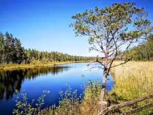 Lake Peter nature trail