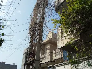Dadal Park, kusum mausi hansi