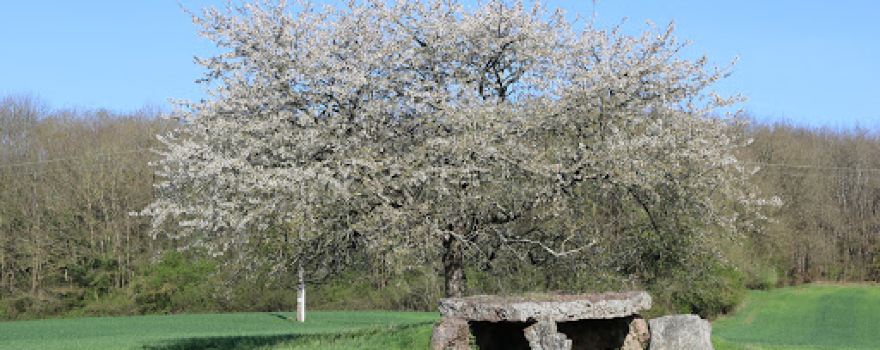 Dolmen de l'avort