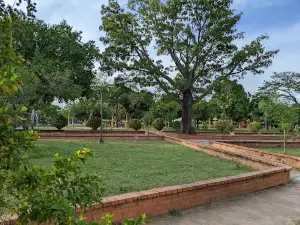 morichal Park