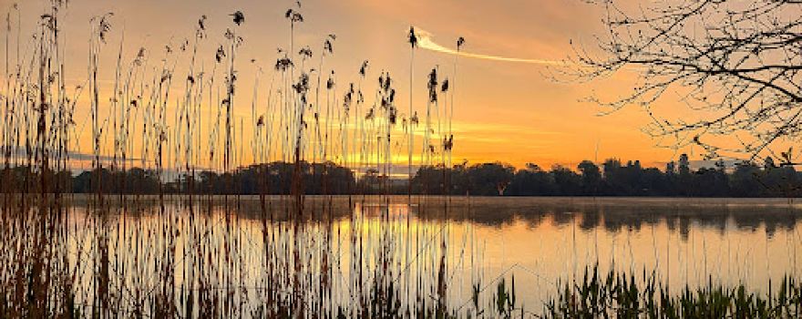 Ellesmere Sculpture Trail