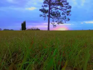 Beulah Camp Grounds