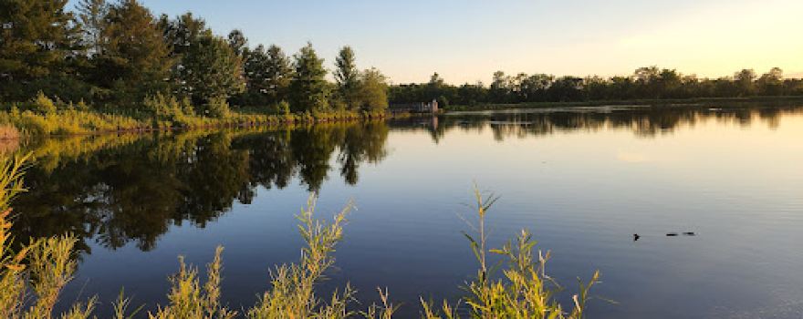 Letha House Park West