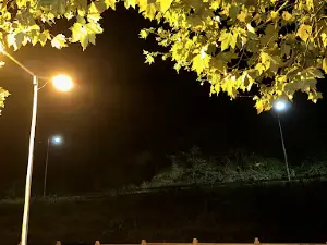 Park