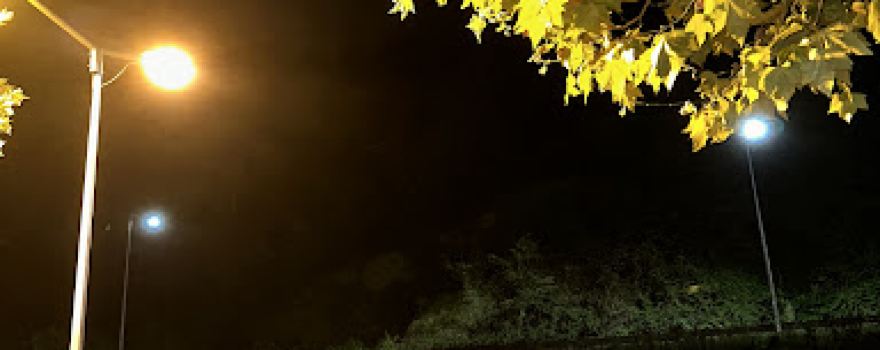Park