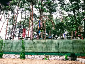 Rope Park Zegarowscy