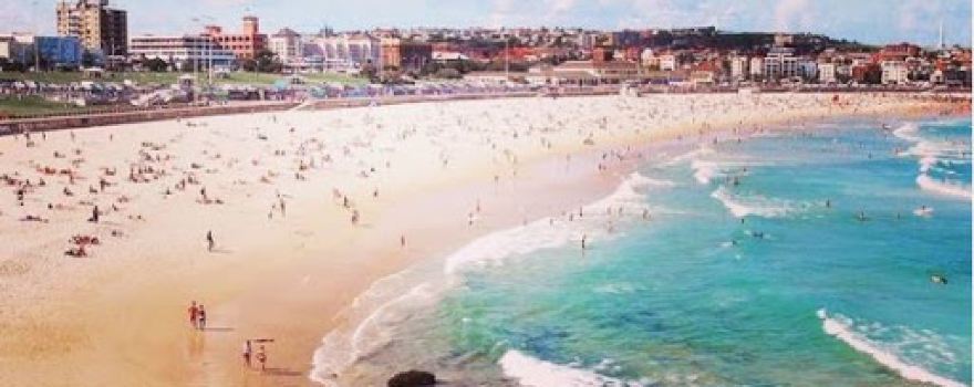 Bondi Bodz