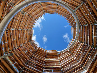 Treetop Walk & Viewing Tower entrance