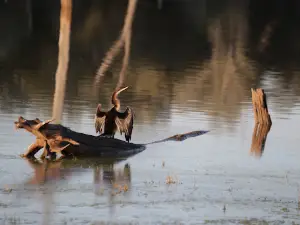 Nuga Nuga National Park