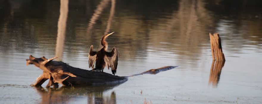 Nuga-Nuga-Nationalpark